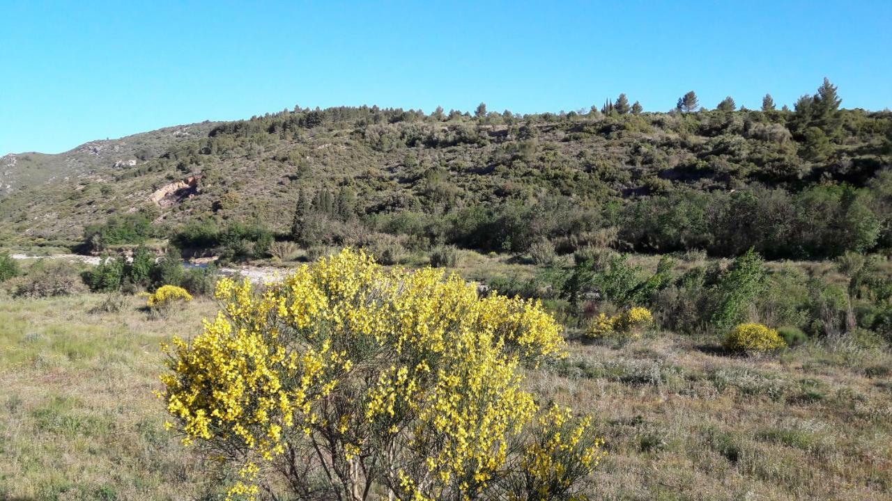 La Grange Villa Durban-Corbieres Kültér fotó
